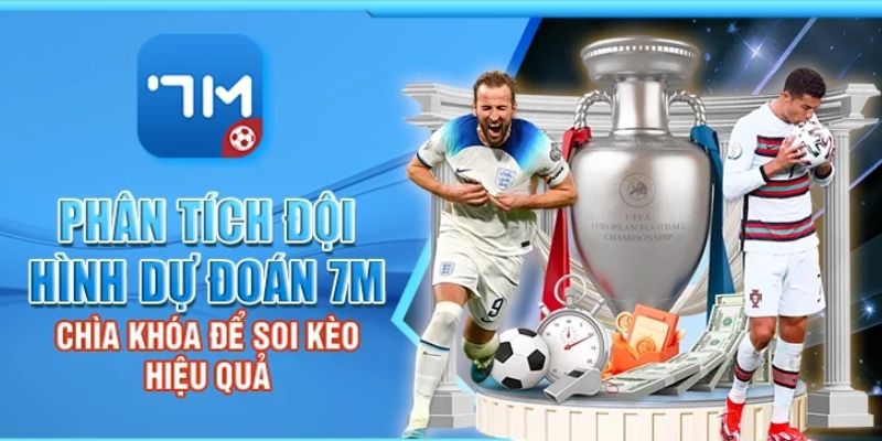 Tầm quan trọng của đối tác 7M