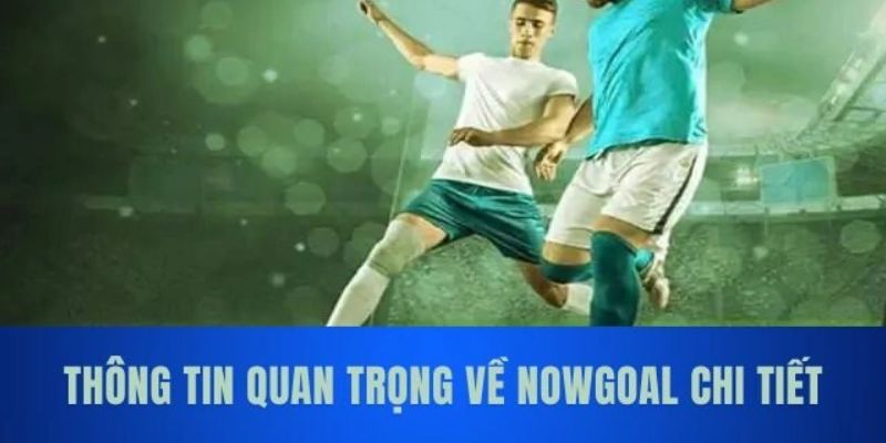Trang cá cược bóng đá uy tín Nowgoal là gì